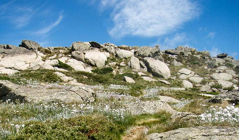 Mount Stillwell Walk - Attractions 1