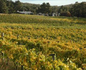 Lark Hill Biodynamic Winery - Attractions 2