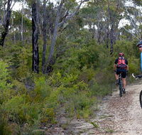 McMahon's Point ride - Wentworth Falls - Attractions