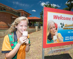 Mammino Gourmet Ice Cream - Attractions 3