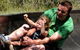 Thredbo Bobsled - thumb 0