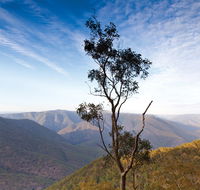 Salisbury Waters walking track - Attractions