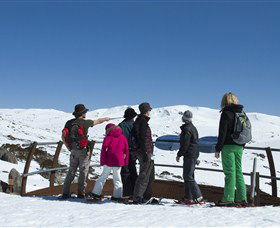 Charlotte Pass And Lookout - Attractions 1