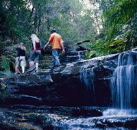South Lawson Waterfall Circuit - Attractions