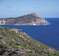 Bald Head Walking Track - Attractions