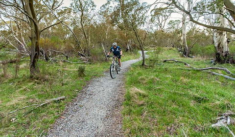Thredbo Valley Track - Attractions 1