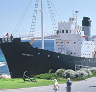 Discovery Bay Tourism Experience - Attractions