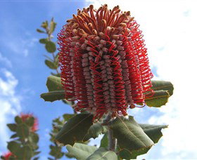 Discovery Bay Tourism Experience - Attractions Las Vegas 2