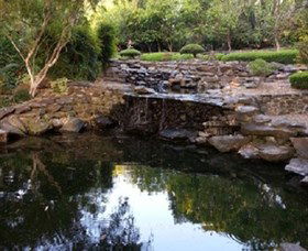 Bundaberg Botanic Gardens And Playground - Attractions 1