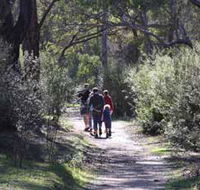 Syd's Rapids and Aboriginal Heritage Trail Avon Valley - Attractions