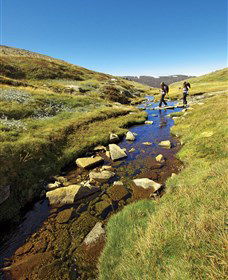 Australian Alps Walking Track - Attractions 0
