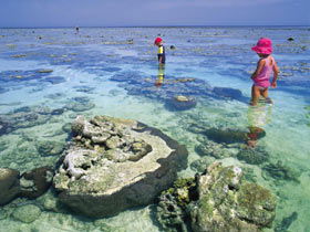 Southern Great Barrier Reef - Attractions 1
