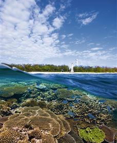 Southern Great Barrier Reef - Attractions 2
