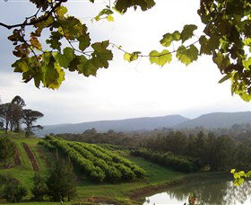 Enniskillen Orchard - Attractions 1