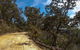 Parr State Conservation Area - thumb 0