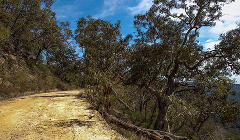 Parr State Conservation Area - Attractions 0
