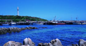 King Island TAS Attractions