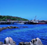 King Island Dairies - Attractions