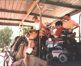 Calamunnda Camel Farm  - Attractions 3