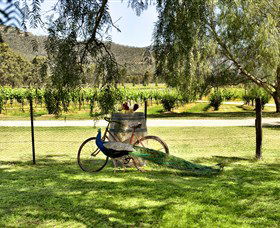 Stomp! Wines - Attractions 3