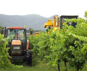 Stomp! Wines - Attractions 8