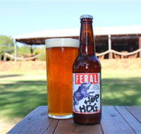 Feral Brewing Company - Attractions