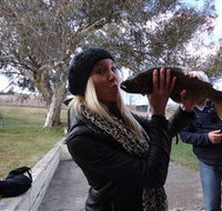 Eucumbene Trout Farm - Attractions