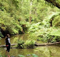 Morwell National Park - Attractions