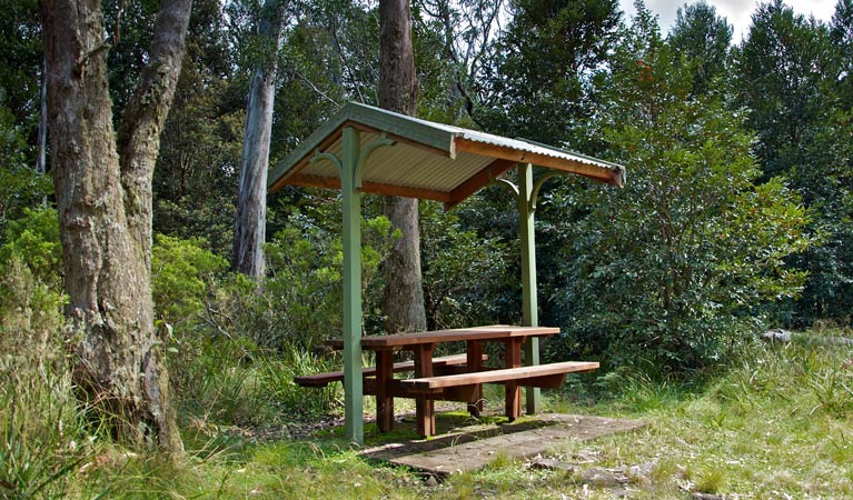 Callaghans Creek NSW Attractions