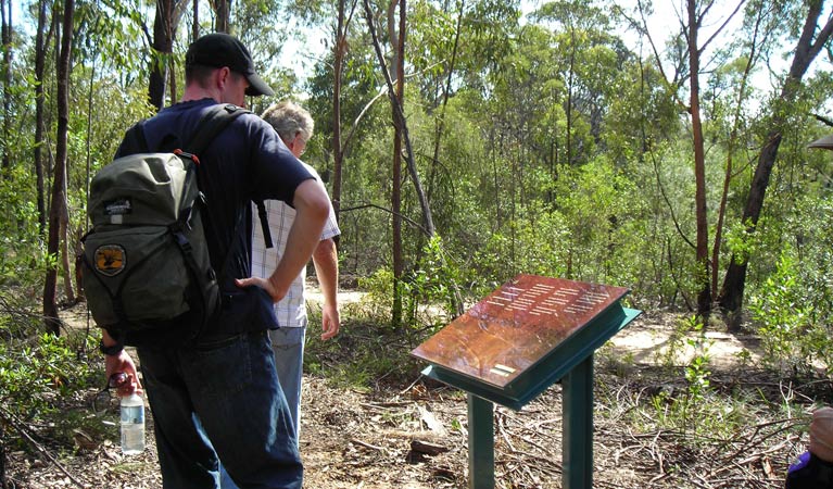 Laguna NSW Attractions