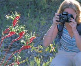 Kalamunda National Park - Attractions 1