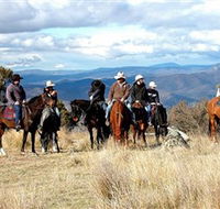 Snowy Wilderness - Attractions