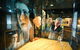 Albury Library Museum - thumb 6