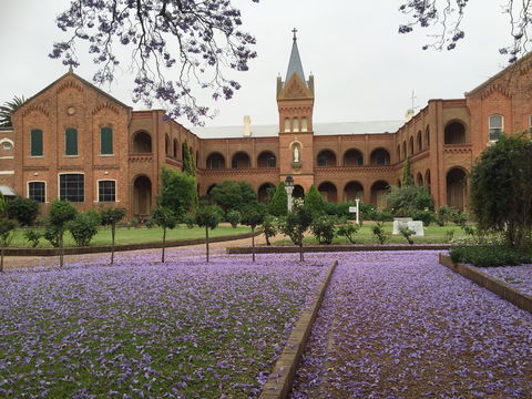 Sacred Spaces At The Sisters Of Mercy Convent - Attractions 12