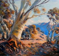 Kunama Snowy Mountains Centre for the Arts - Attractions