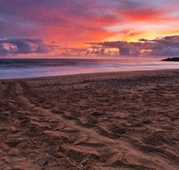 Mon Repos Beach - Attractions