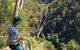 Lyrebird Falls Walking Track - thumb 1