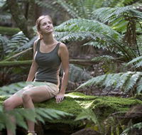 Barrington Tops National Park - Honeysuckle Forest Track - Attractions