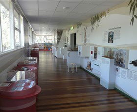 Kanyana Wildlife Rehabilitation Centre - Attractions 1