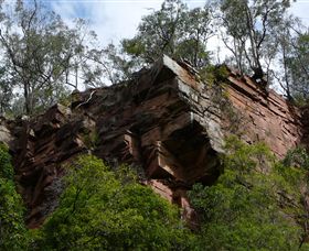 Mitchell River Walking Track - Attractions 2