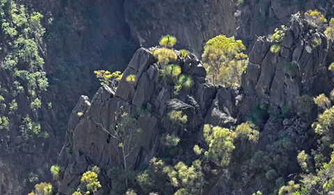 Bungonia National Park - Attractions 2