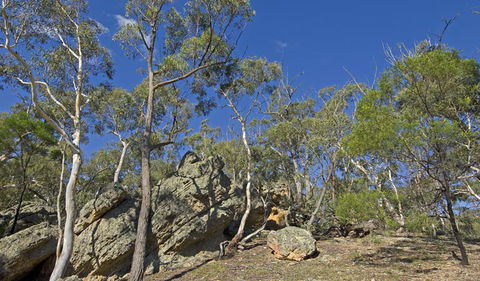 Bungonia National Park - Attractions 3