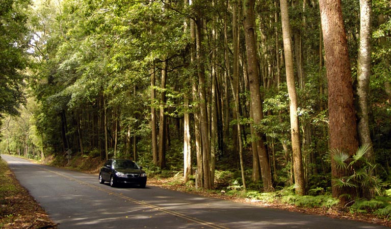Regentville NSW Attractions