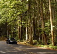 Greater Blue Mountains drive - Attractions