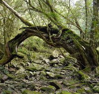 Mitchell River National Park - Attractions