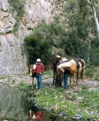 Yarramba Horse Riding
