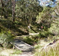 Wollomombi walking track - Attractions