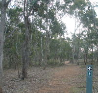 Green track - Attractions