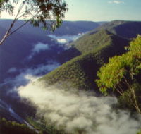 Long Point Lookout - Attractions