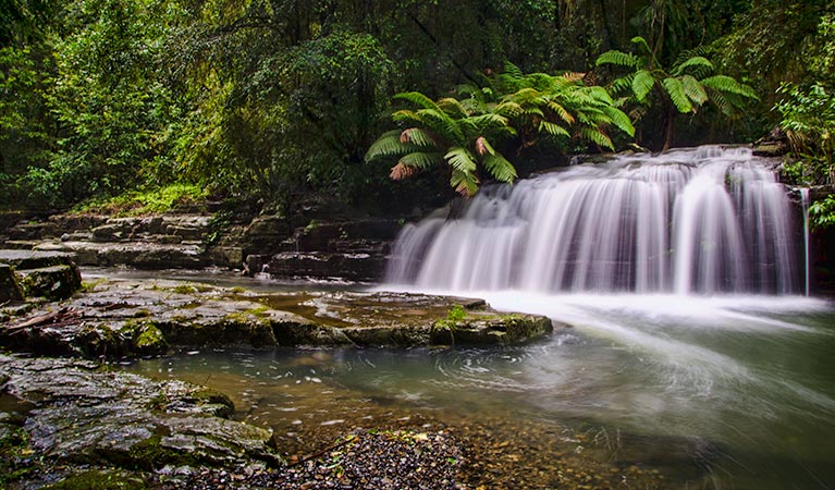 Alison NSW Attractions
